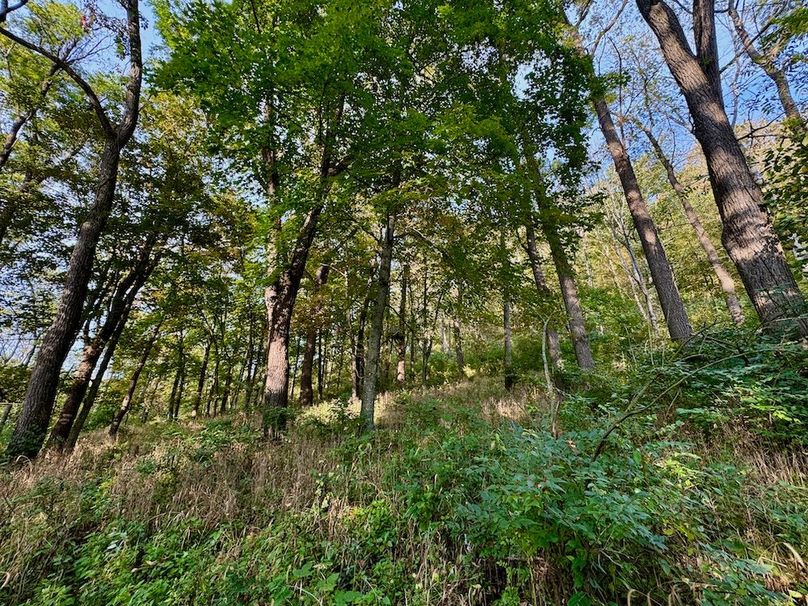 Richland 199Ground - 58