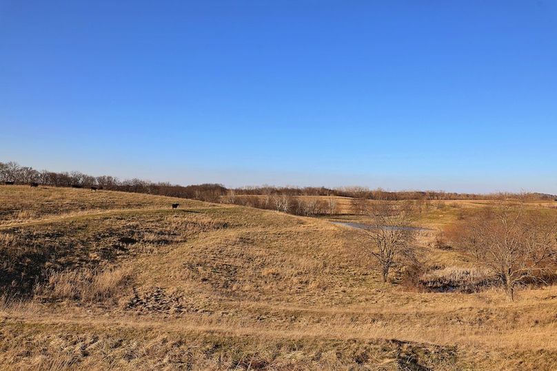 3 Buchanan 252.69 Tract 1