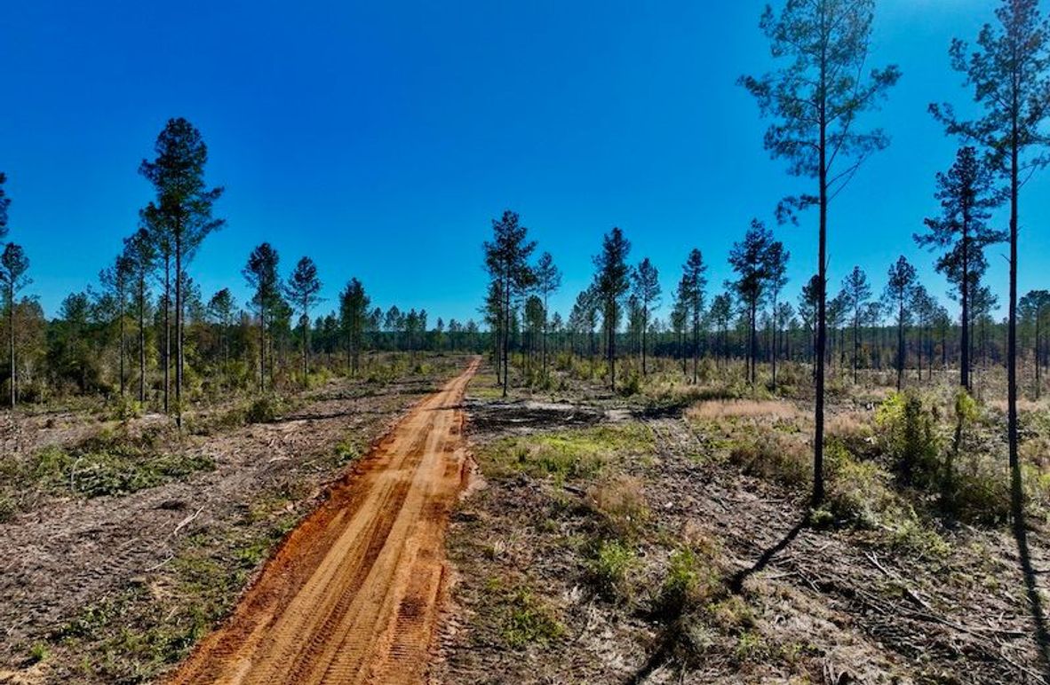 4D8A223B-BABE-4A8A-AC1D-FCB751035A7E_1_201_a