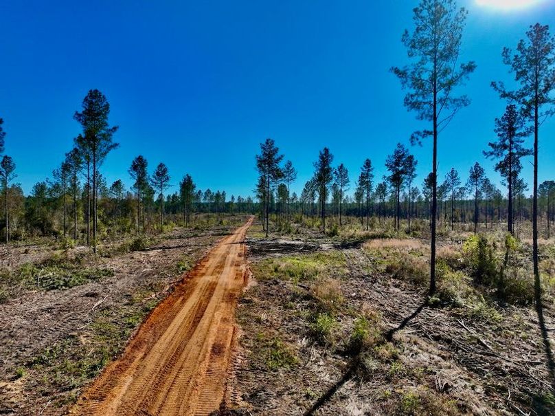 4D8A223B-BABE-4A8A-AC1D-FCB751035A7E_1_201_a