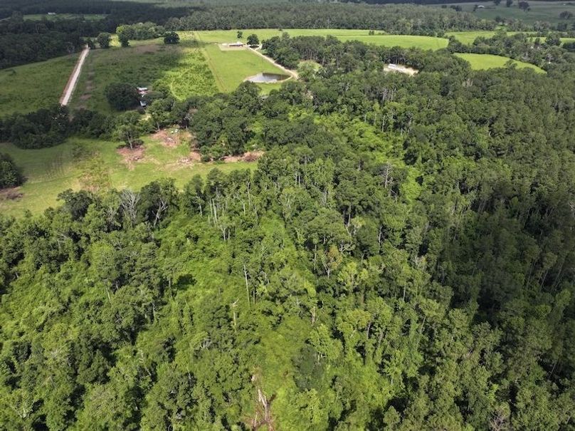 dji_fly_20250708_104540_0195_1752089894690_photo