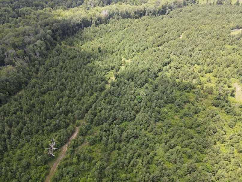 DJI_0372