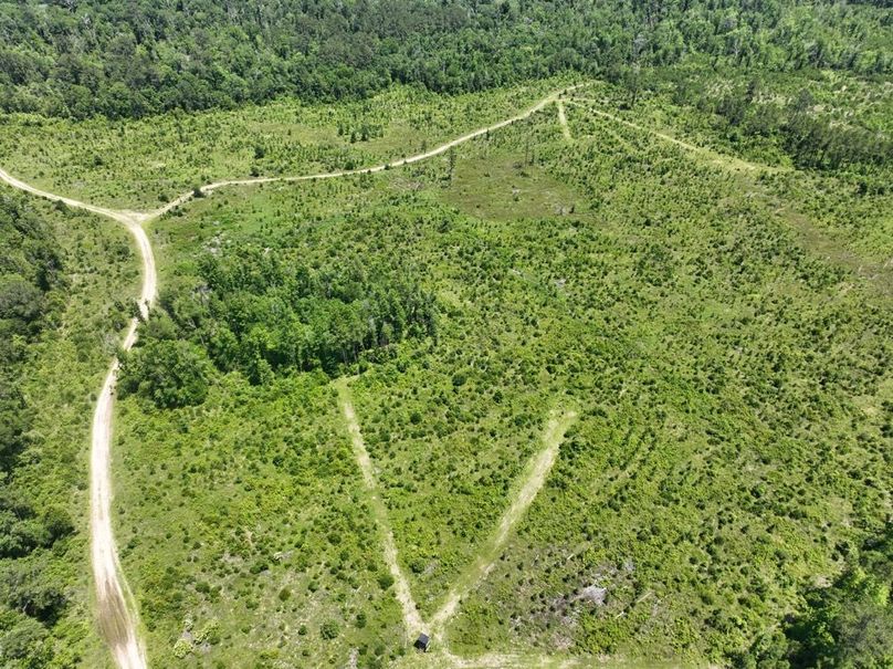 dji_fly_20250522_160014_208_1747959327512_photo