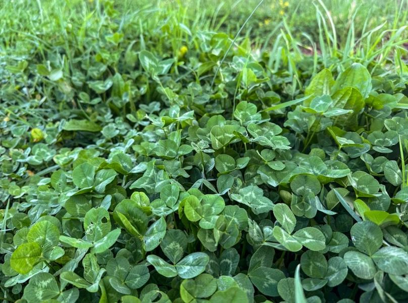 Screenshot 2026-04-21 at 11.35.01 AM