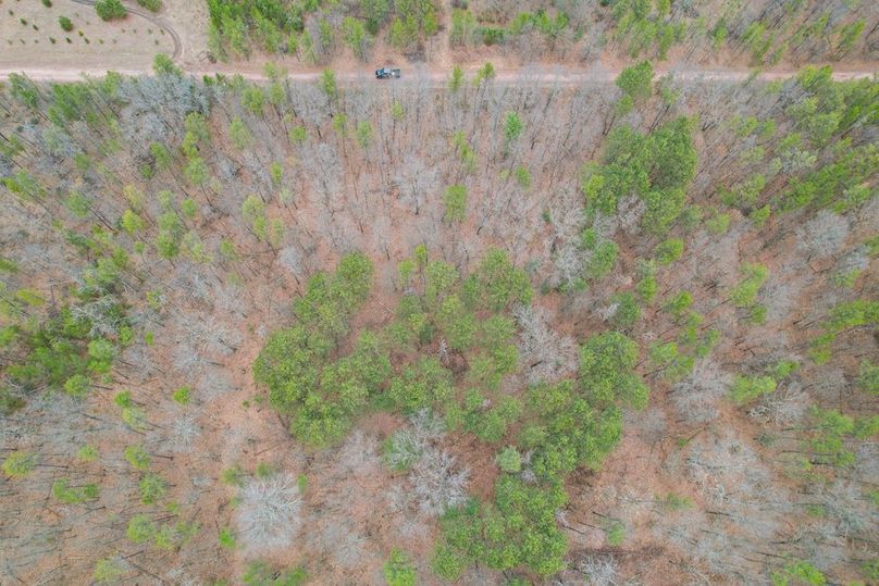 Juneau 1.53 Northgate-22