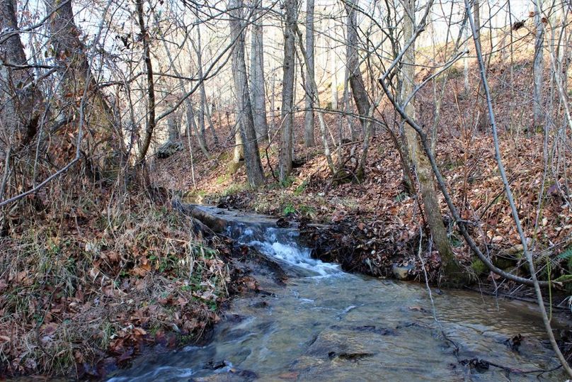038 year-round rolling stream near the south portion of the property