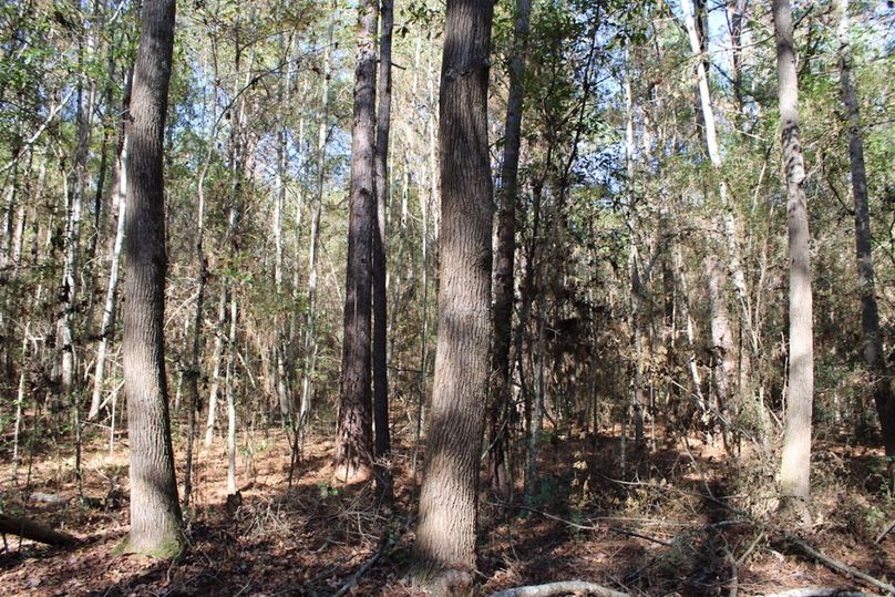 F5A11803-1DBA-4A38-BA6E-E93A5AC1ED74_1_105_c