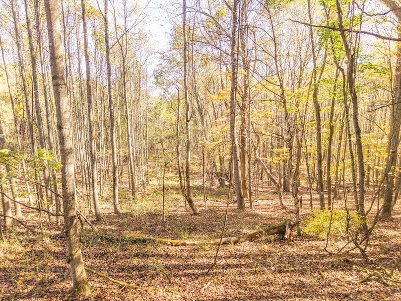 DJI_20251015100728_0045_D