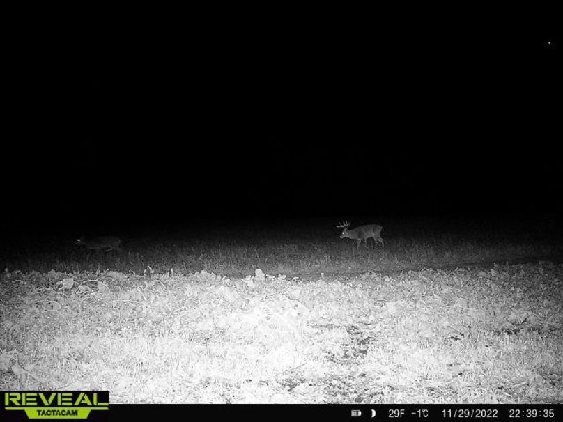 865814048775314-100-4-11292022223934-W1000070