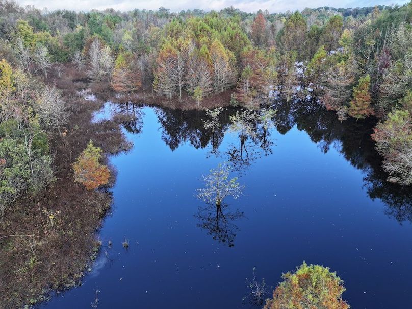 DJI_20251018095005_0122_D