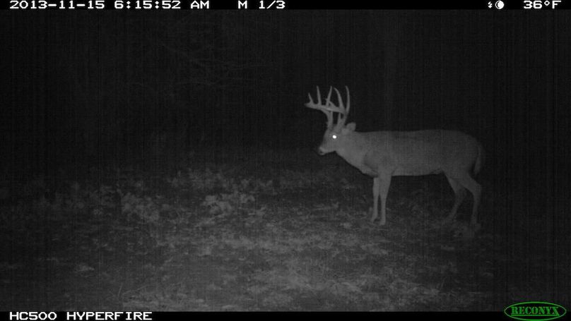 Copy of joe photos.15