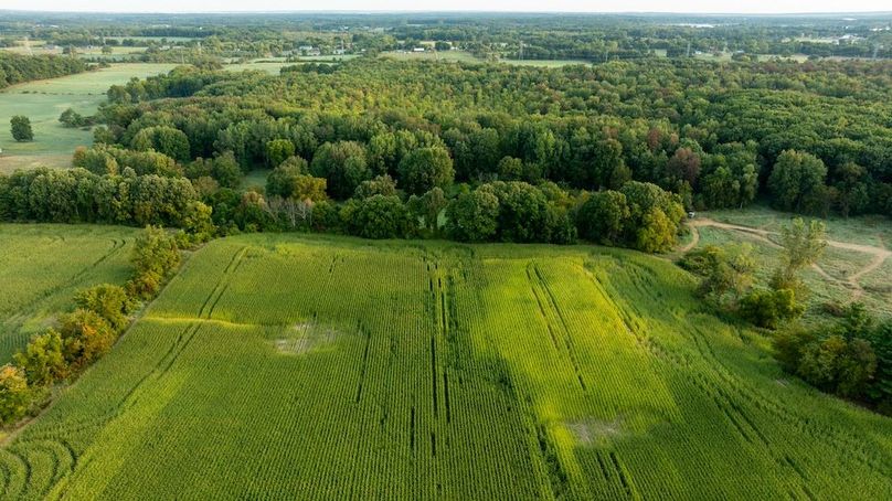 Lapeer MI 170 Featured_Pro Photo-89