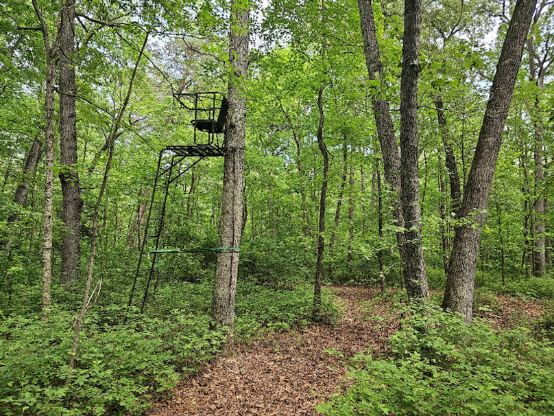 37.98ac_TempleRd_BGORE_13_Ladderstand