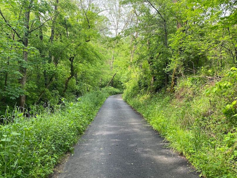 014 Jess Ray Road, leading north through the property near the north part of the property and home copy