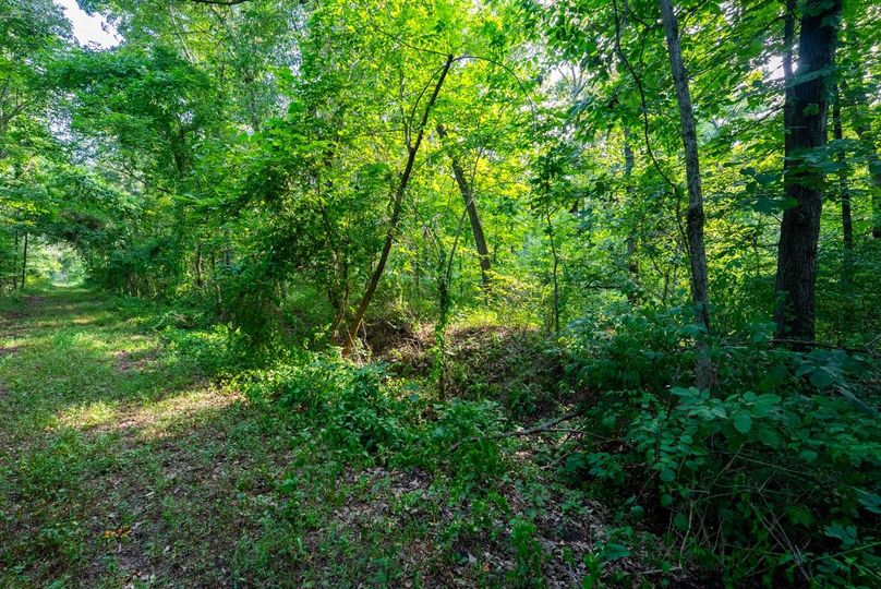 Copy of DSC06220 Large