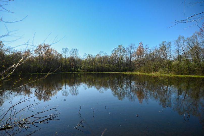 vandalia 450 (2)-2463