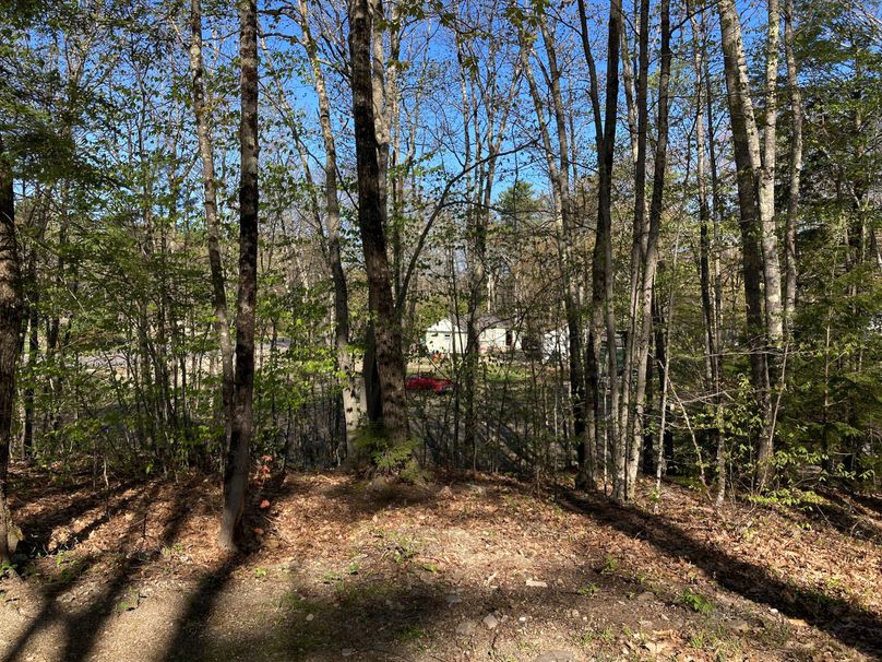 2023-05-08_08-22-35-0400