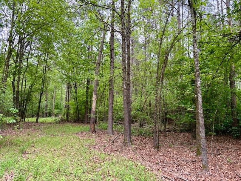 42349841-CA98-46BA-A4FC-9F707F8720CC_1_105_c