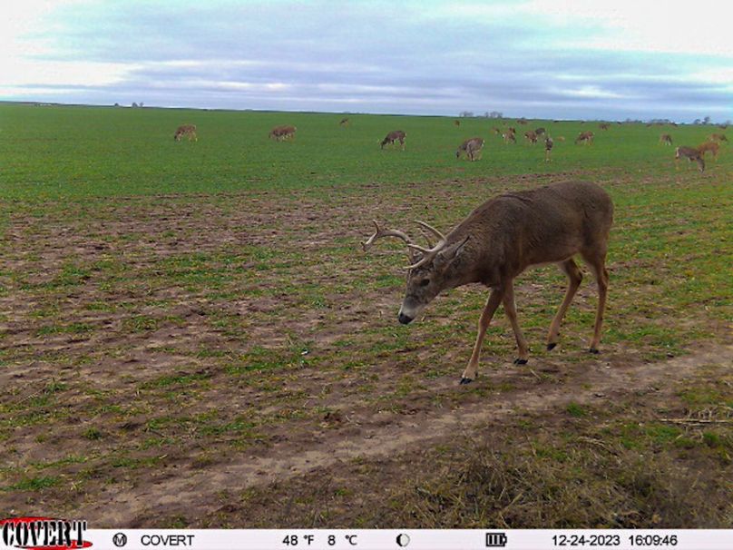 covert_photo_2600730625