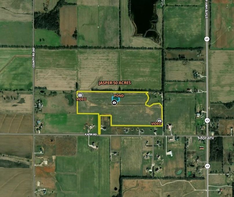 Screenshot 2026-03-19 at 4.41.40 PM