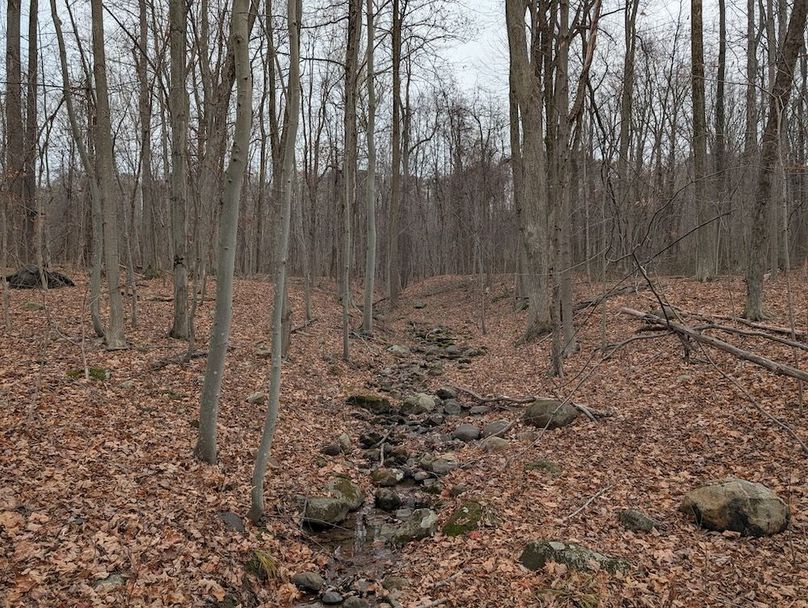 PXL_20251120_190655618