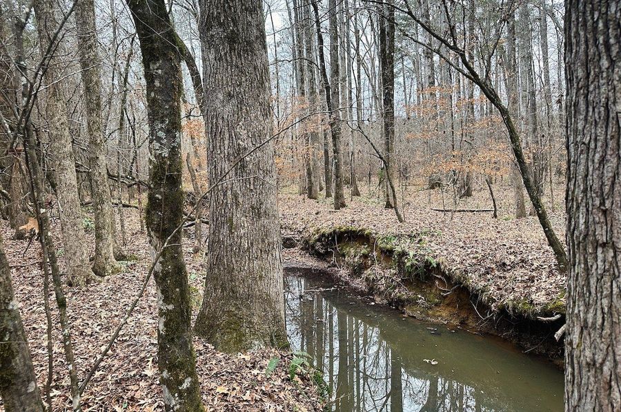 01 Creek