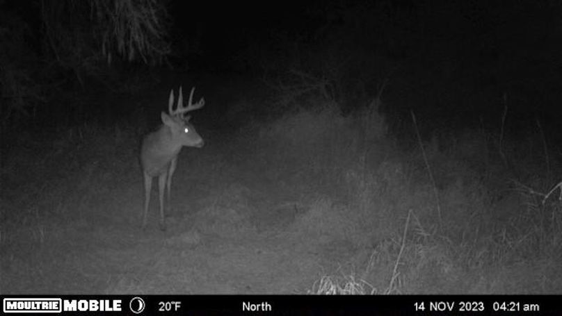 Temp_1082396-20231114102237-102MFCAM-MFDC0418