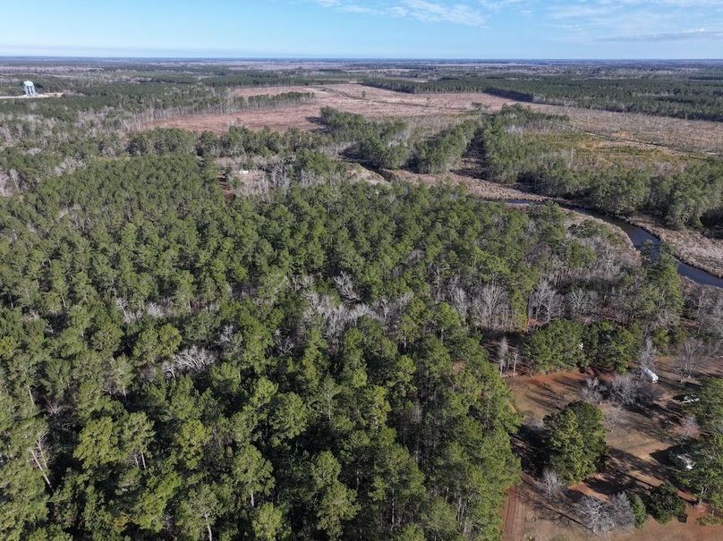 DJI_20260105102938_0281_D