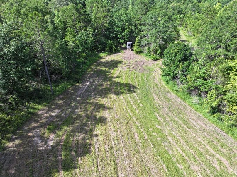 dji_fly_20250612_093858_0100_1750261386495_photo