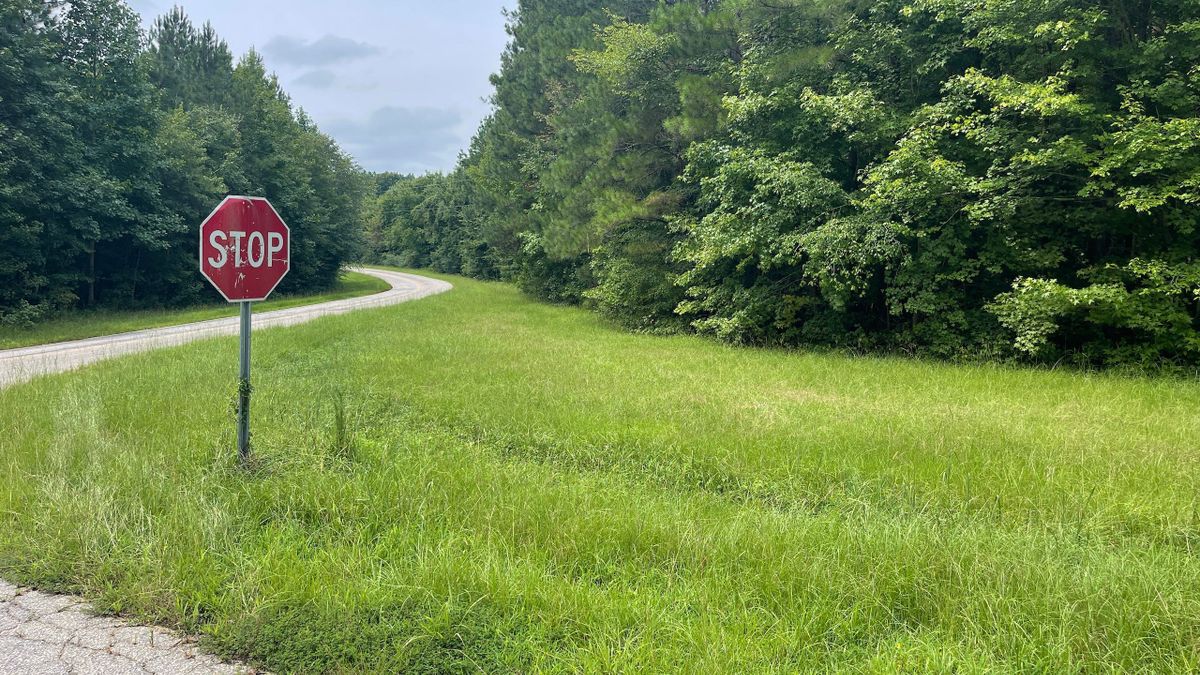 Potential Homesite Lot 5 Off Of Sumler And Red Bud Road North Of