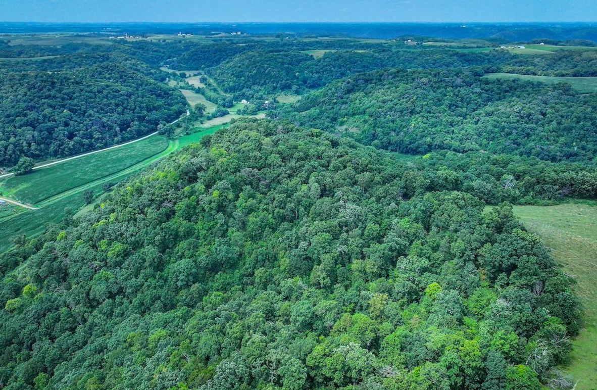 New Albin 8_8 edits-13