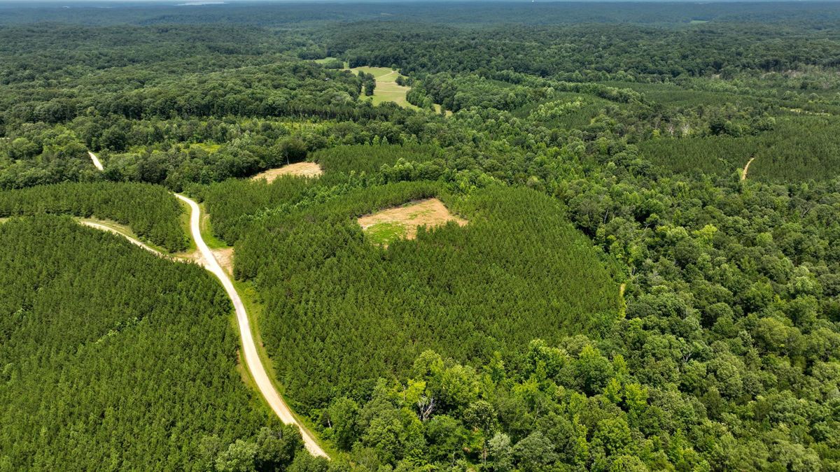 Exceptional Hunting Tract Near Lake Barkley Whitetail Properties