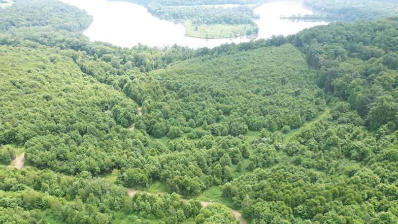 dji_fly_20240621_113654_297_1718984601386_photo