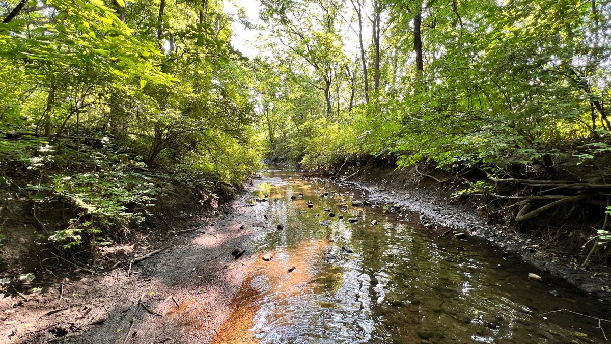 Wooded Acreage With Creek Frontage Located Near West Lafayette 