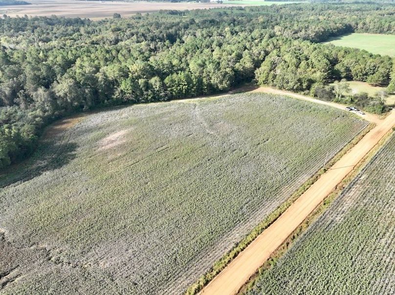 dji_fly_20251007_100634_216_1759846417489_photo