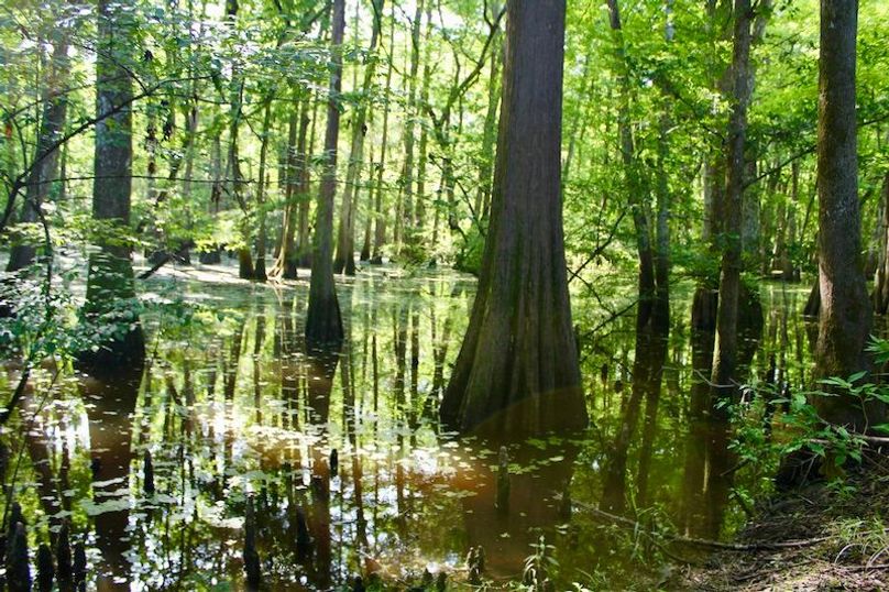 67A1E3B1-8B3A-4147-91BC-C0E1B4344E5B_1_201_a