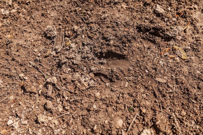 74-web-or-mls-0 Mound Creek Rd-44