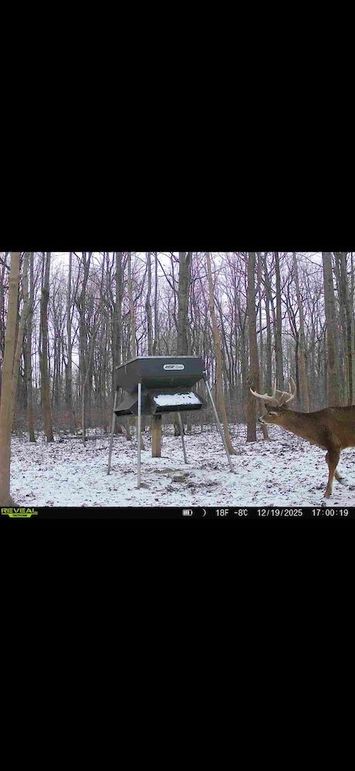 Screenshot 2026-02-09 at 3.16.19 PM