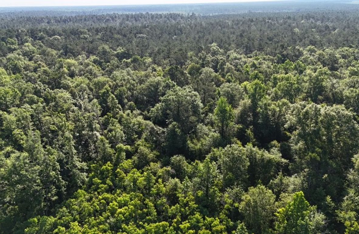 dji_fly_20260512_091214_0156_1778611344596_photo