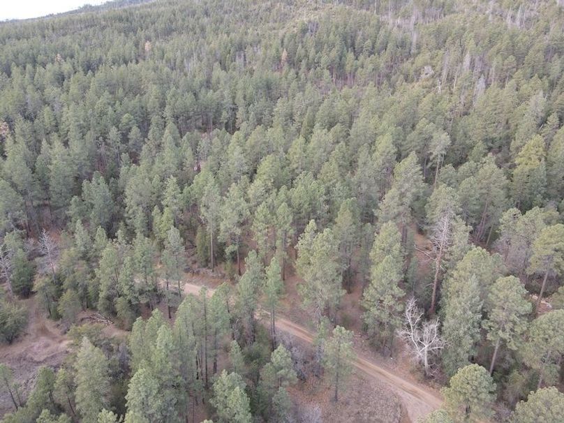 11.dji_fly_20240227_075334_384_1709045802771_photo