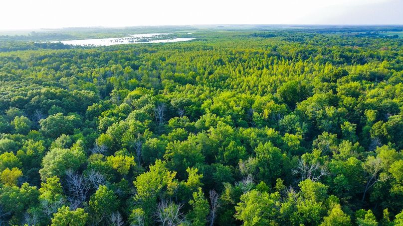 DJI_20240819183826_0153_D