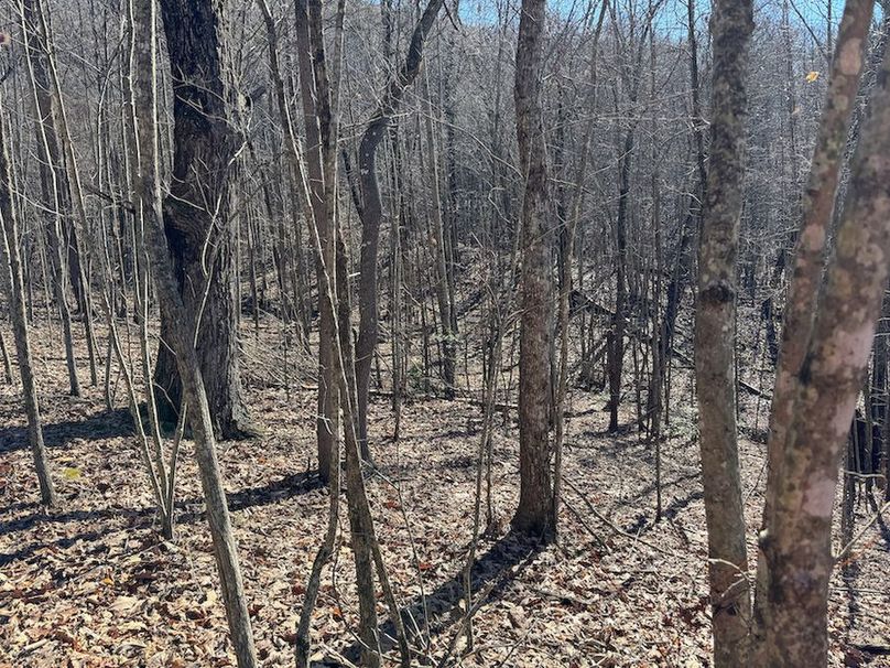 Cherokee 118.85 Harris Top-08