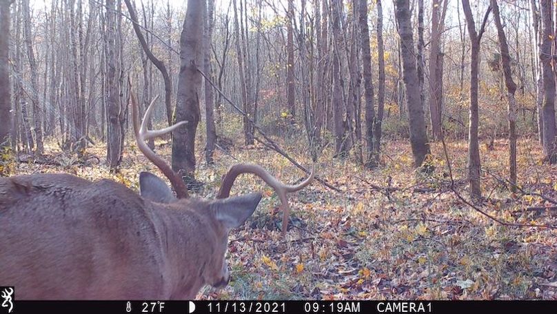 trail cam31