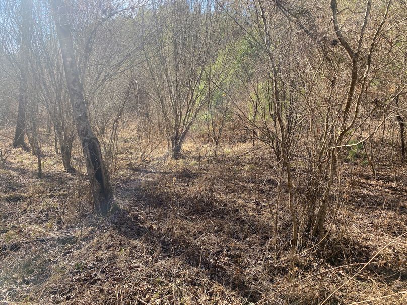 Cherokee 7.47 Herzog-08