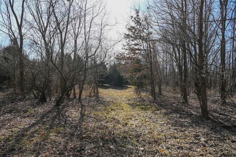 vandalia 450 (2)-1681