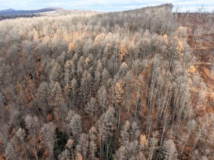 DJI_20251122114458_0038_D