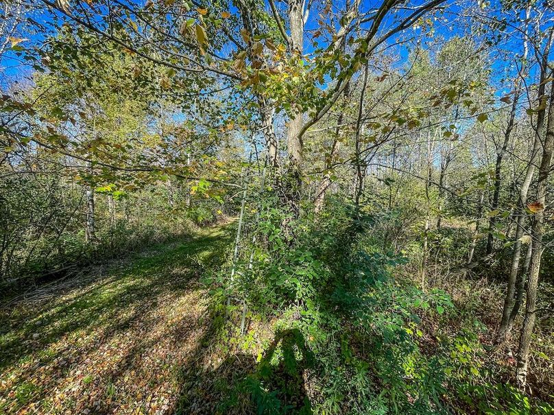 Wood 41.451, Collins -16