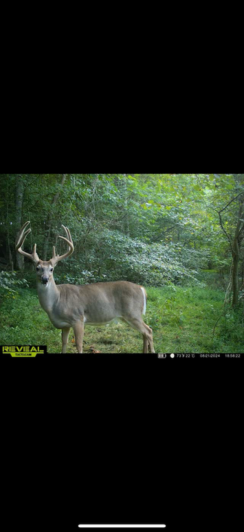 trailcam11