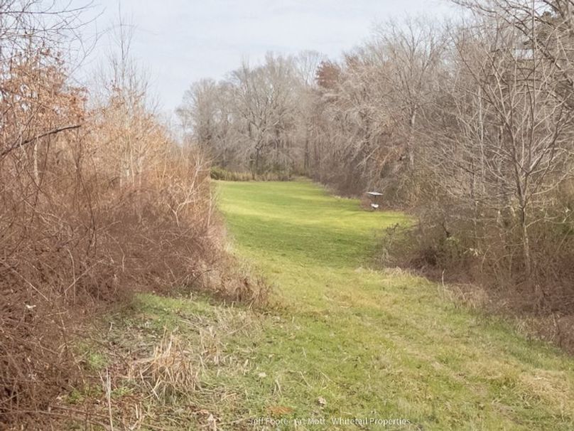 Holmes County - 108 - Rodriguez-73