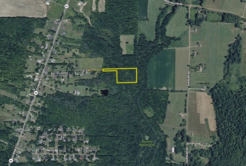 Screen Shot 2025-10-07 at 12.17.07 PM